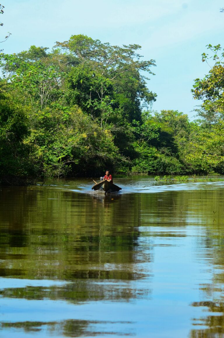 Marketing Digital para Lodges en la Amazonia Ecuatoriana