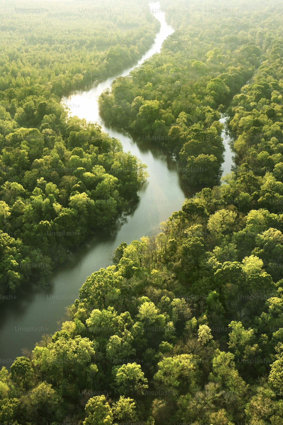Vista aérea río selva Amazonía Ecuador ecoturismo