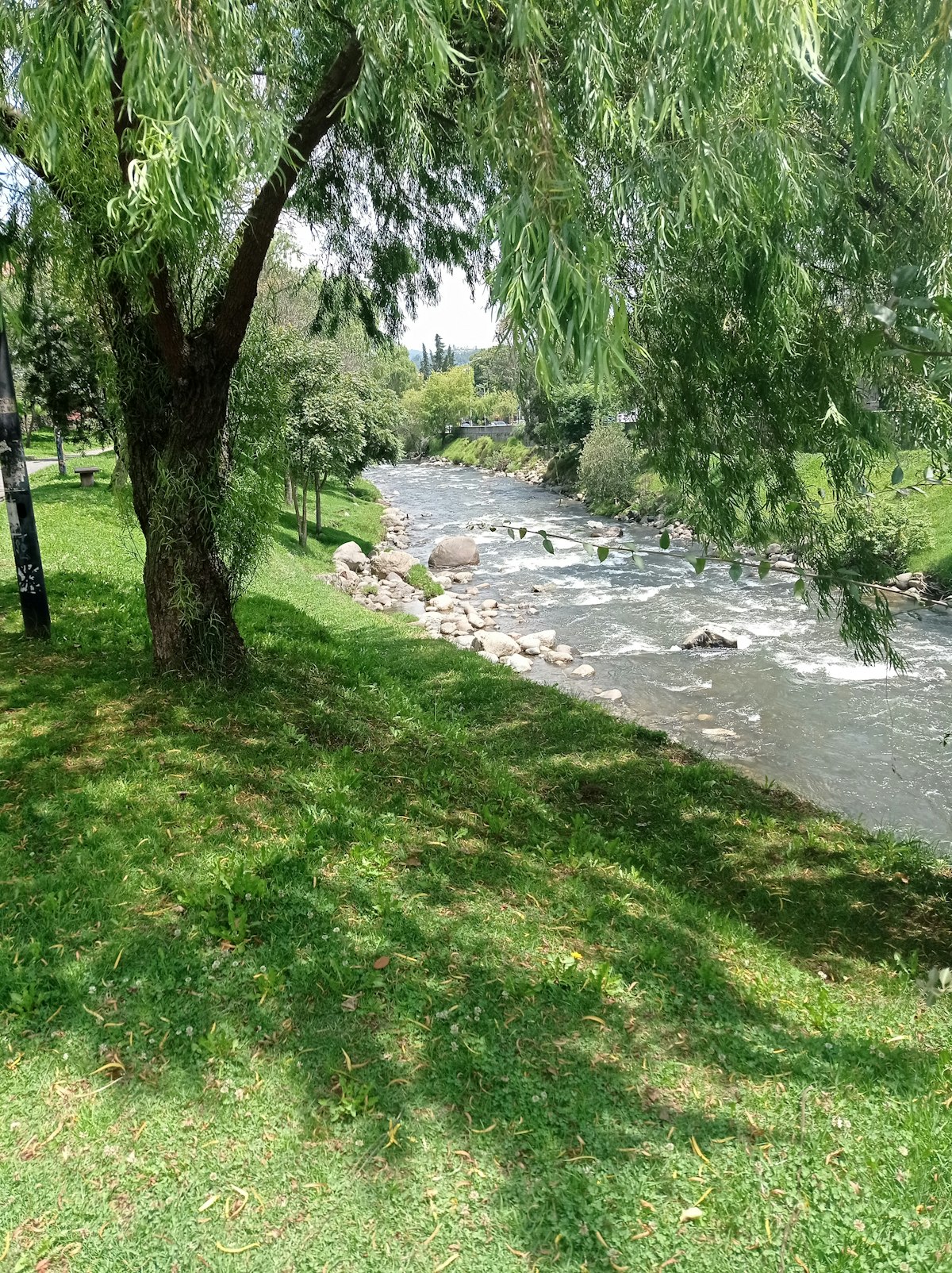 Ríos y parques lineales de Cuenca Ecuador rodeados de naturaleza
