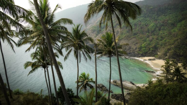 SEO para Hoteles de Playa en Ecuador