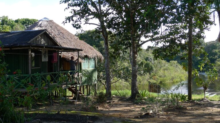 SEO Lodges Amazonicos Ecuador 2026