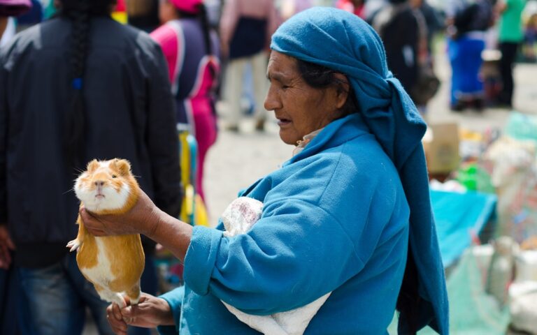 Turismo Comunitario en la Sierra Ecuatoriana 2026
