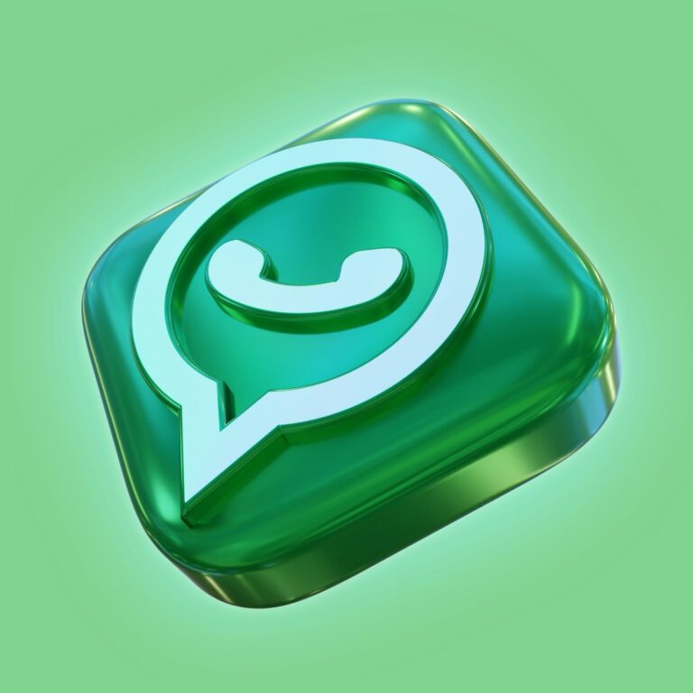 WhatsApp Business API vs App Normal Cual Necesita tu Empresa Ecuador 2026