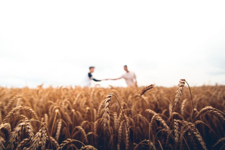Que es un ERP agricola y como transforma la gestion de tu finca